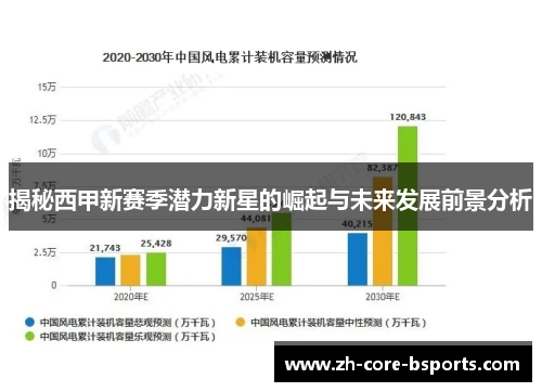 揭秘西甲新赛季潜力新星的崛起与未来发展前景分析