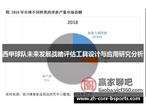 西甲球队未来发展战略评估工具设计与应用研究分析