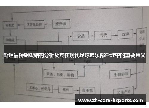 斯坦福桥组织结构分析及其在现代足球俱乐部管理中的重要意义 斯坦福桥组织结构分析及其在现代足球俱乐部管理中的重要意义